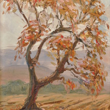 Napa Valley Autumn Tree Oil 12x9